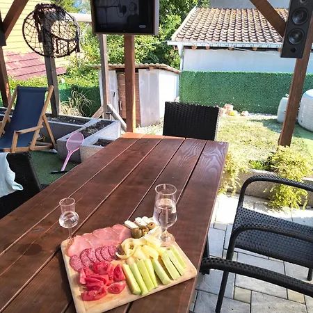 Dom wakacyjny Mila Banja Topilo