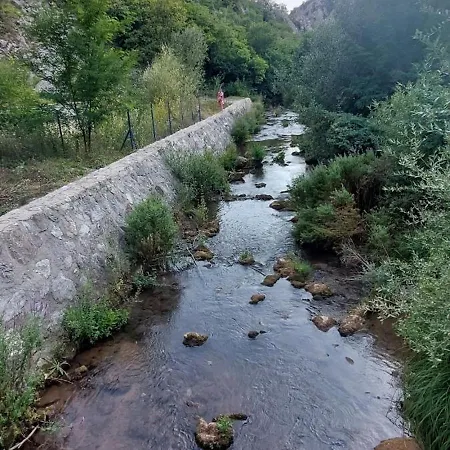 Mila Dom wakacyjny Banja Topilo