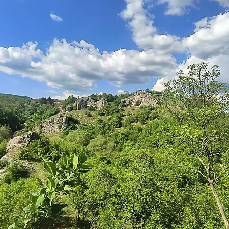 Dom wakacyjny Mila Banja Topilo