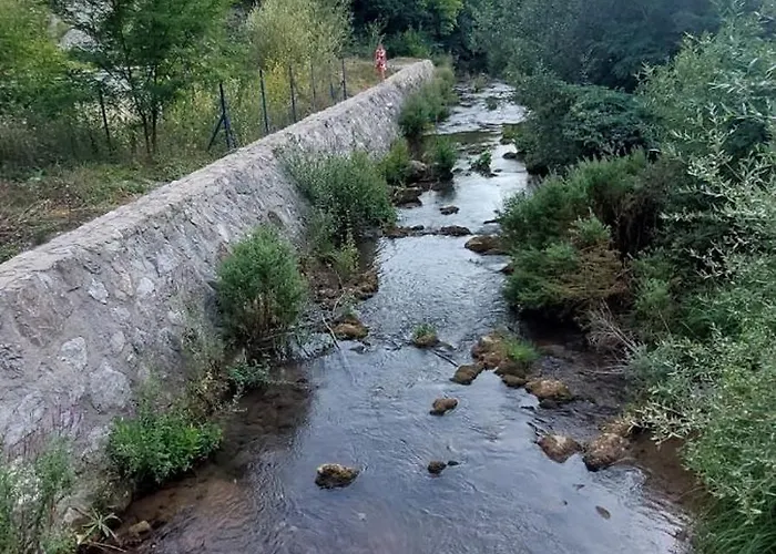 Mila Tatil Evi Banja Topilo