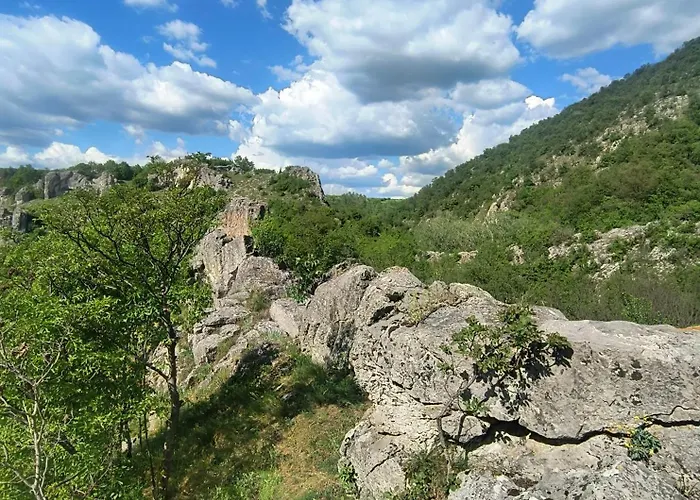 Mila Tatil Evi Banja Topilo