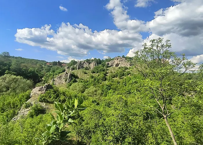 Tatil Evi Mila Banja Topilo